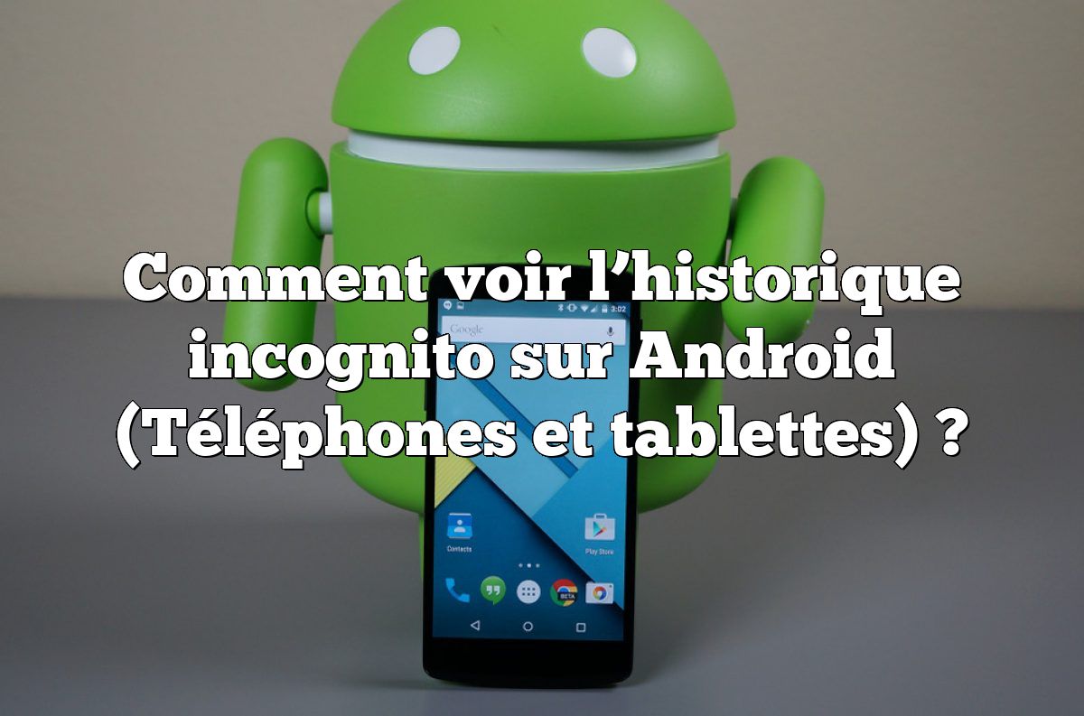 Comment voir l’historique incognito sur Android (Téléphones et tablettes) ?